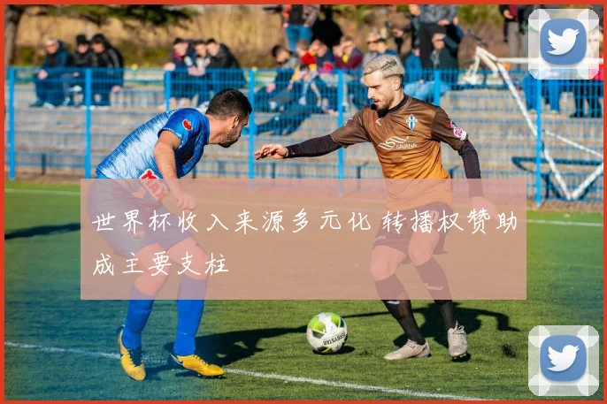 世界杯收入来源多元化 转播权赞助成主要支柱
