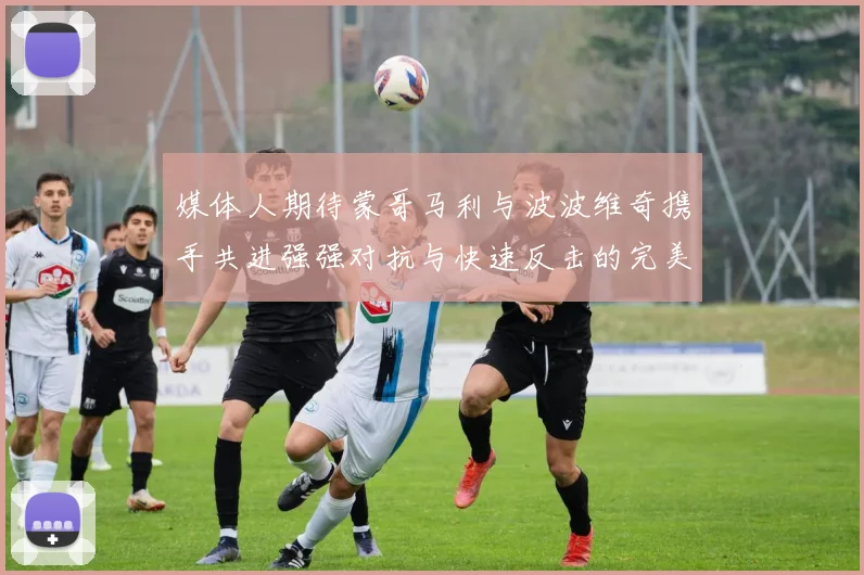 媒体人期待蒙哥马利与波波维奇携手共进强强对抗与快速反击的完美结合