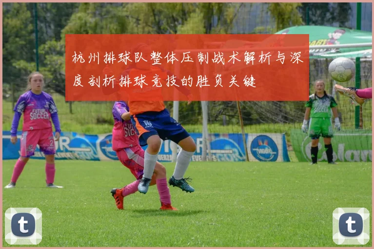 杭州排球队整体压制战术解析与深度剖析排球竞技的胜负关键