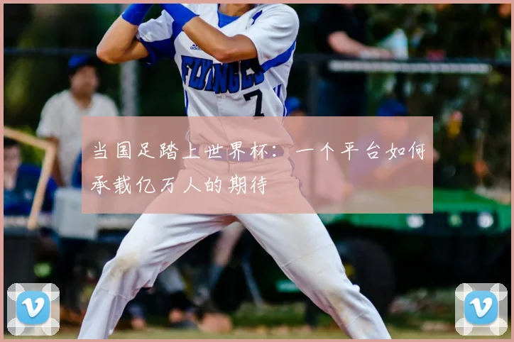 当国足踏上世界杯:一个平台如何承载亿万人的期待