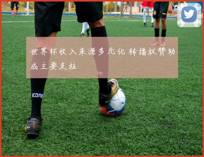 世界杯收入来源多元化 转播权赞助成主要支柱