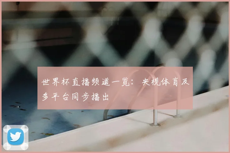 世界杯直播频道一览:央视体育及多平台同步播出