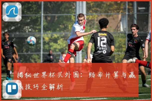 揭秘世界杯买外围：赔率计算与赢钱技巧全解析