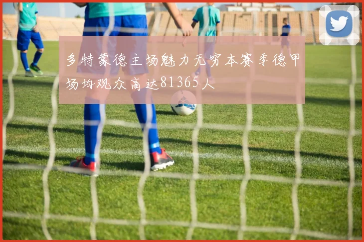多特蒙德主场魅力无穷本赛季德甲场均观众高达81365人