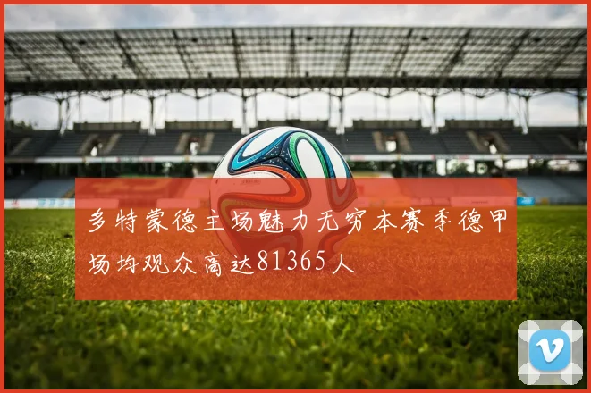 多特蒙德主场魅力无穷本赛季德甲场均观众高达81365人