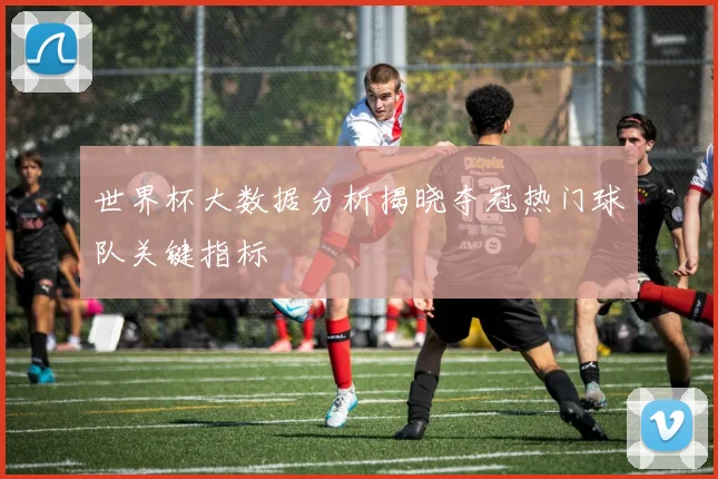 世界杯大数据分析揭晓夺冠热门球队关键指标