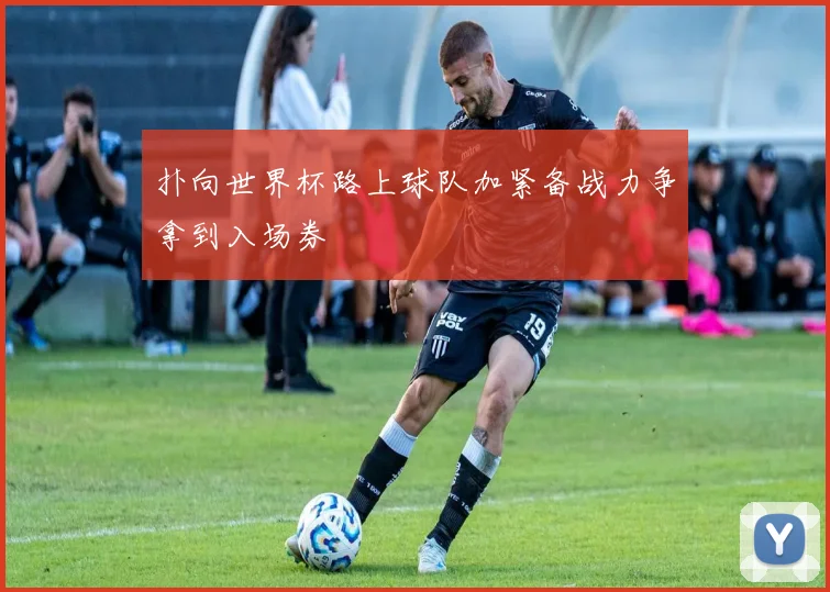 扑向世界杯路上球队加紧备战力争拿到入场券