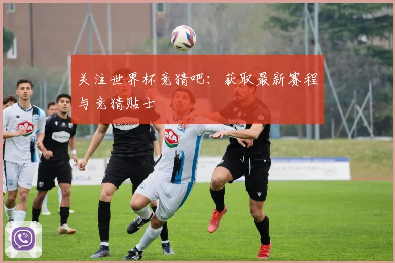 关注世界杯竞猜吧：获取最新赛程与竞猜贴士