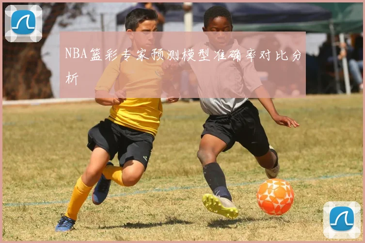 NBA篮彩专家预测模型准确率对比分析