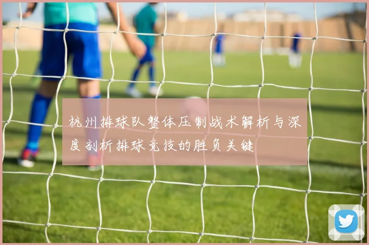 杭州排球队整体压制战术解析与深度剖析排球竞技的胜负关键
