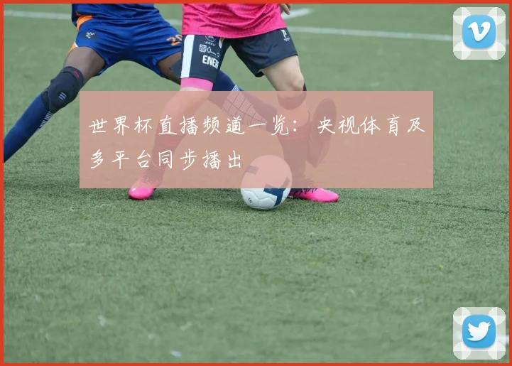 世界杯直播频道一览：央视体育及多平台同步播出